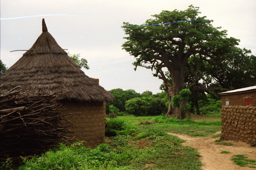 cote Ivoire huttes.jpg